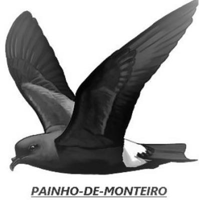 PAINHO-DE-MONTEIRO