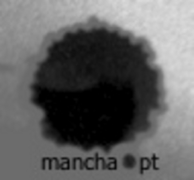 MANCHA.PT