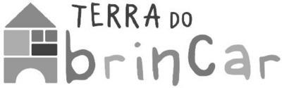 TERRA DO BRINCAR