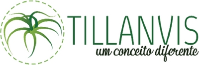 TILLANVIS UM CONCEITO DIFERENTE