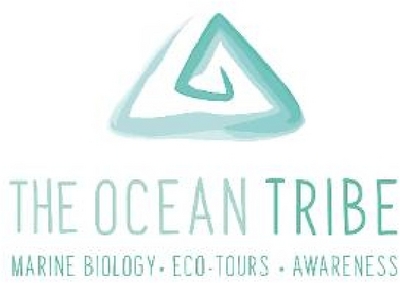 THE OCEAN TRIBE - MARINE BIOLOGY ECOTOURS AWARENESS