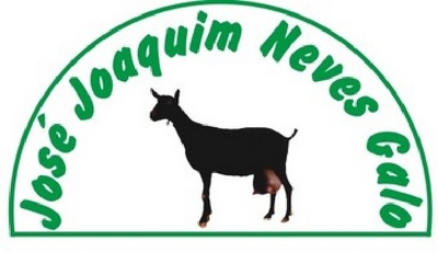 JOSÉ JOAQUIM NEVES GALO