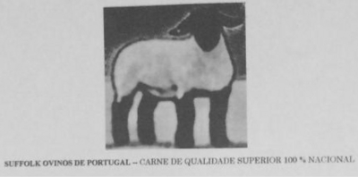 SUFFOLK OVINOS DE PORTUGAL - CARNE DE QUALIDADE SUPERIOR 100% NACIONAL