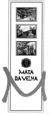 MATA DA VELHA