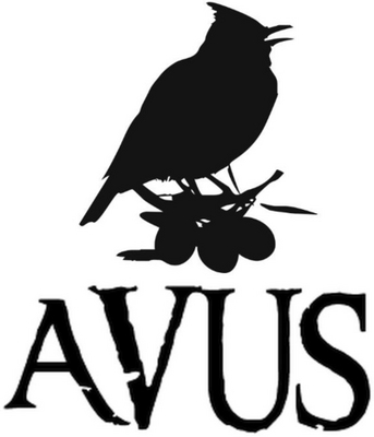 AVUS
