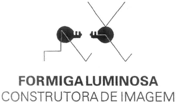 FORMIGA LUMINOSA CONSTRUTORA DE IMAGEM