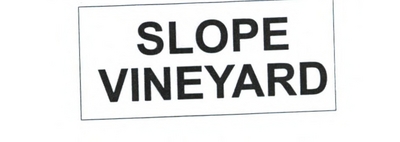 SLOPE VINEYARD
