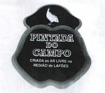 PINTADA DO CAMPO