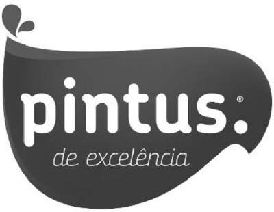 PINTUS DE EXCELÊNCIA