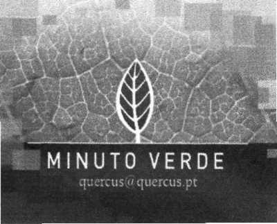 MINUTO VERDE