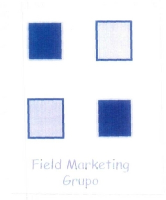 FIELD MARKETING GRUPO