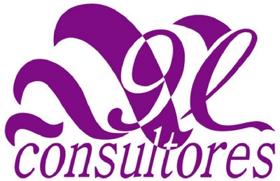9L CONSULTORES