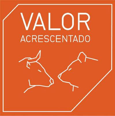 VALOR ACRESCENTADO