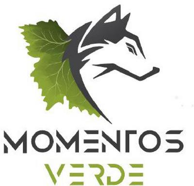 MOMENTOS VERDE