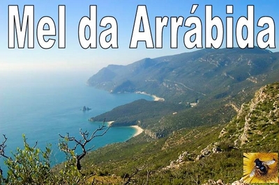 MEL DA ARRÁBIDA