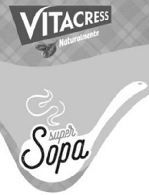 VITACRESS NATURALMENTE SUPER SOPA