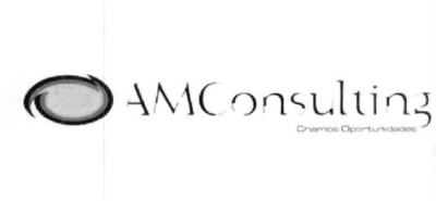 AM CONSULTING
