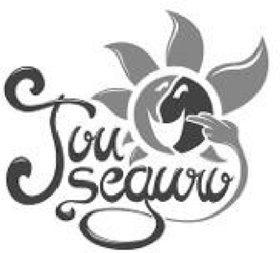 TOUSEGURO