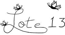 LOTE 13