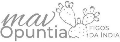 MAV OPUNTIA FIGOS DA ÍNDIA