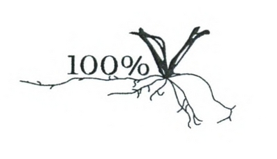 100%