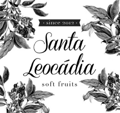 SANTA LEOCÁDIA SOFT FRUITS