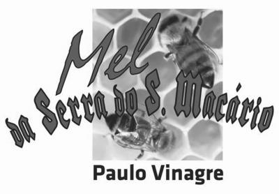 PAULO VINAGRE - MEL DA SERRA DO SÃO MACÁRIO