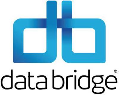 DATABRIDGE