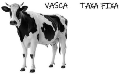 VASCA TAXA FIXA