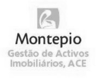 MONTEPIO GESTÃO DE ACTIVOS IMOBILIÁRIOS, ACE