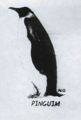 PINGUIM