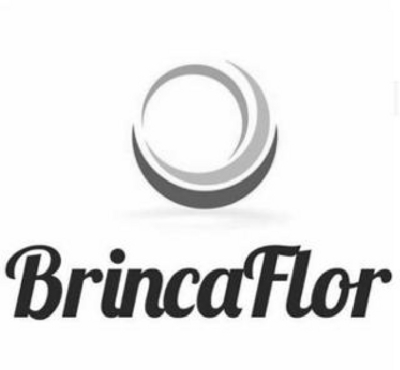 BRINCAFLOR