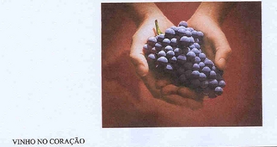 VINHO NO CORAÇÃO