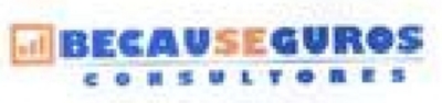 BECAUSEGUROS CONSULTORES