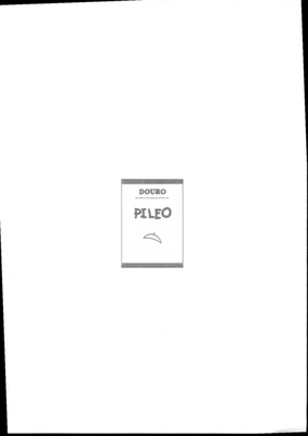 PILEO