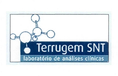 TERRUGEM SNT LABORATÓRIO DE ANÁLISES CLÍNICAS