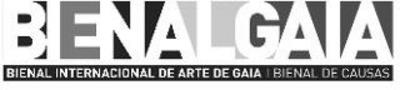BIENALGAIA BIENAL INTERNACIONAL DE ARTE DE GAIA BIENAL DE CAUSAS