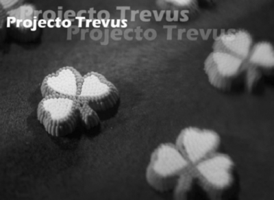 PROJECTO TREVUS