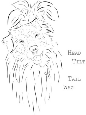 HEAD TILT TAIL WAG