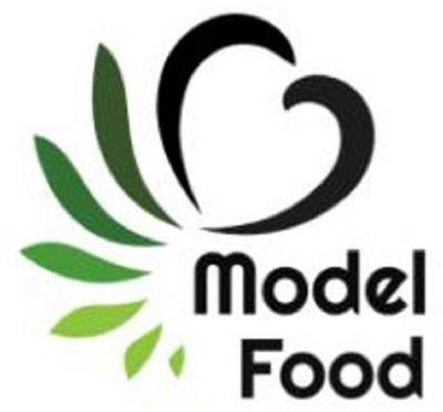 MODEL FOOD