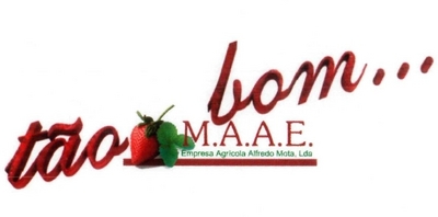 TÃO BOM... M.A.A.E. EMPRESA AGRÍCOLA ALFREDO MOTA, LDA