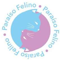 PARAÍSO FELINO