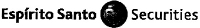 ESPÍRITO SANTO SECURITIES