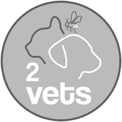 2VETS