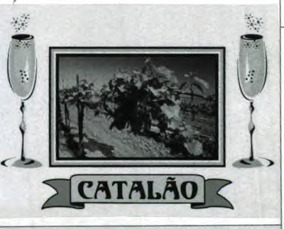 CATALÃO
