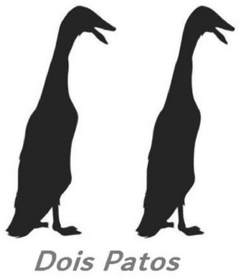 DOIS PATOS