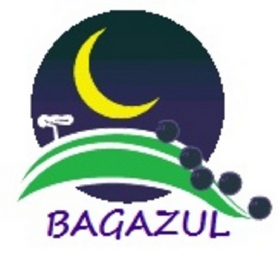 BAGAZUL