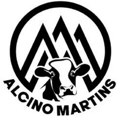 ALCINO MARTINS
