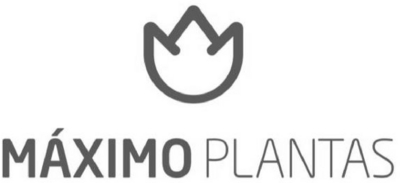 MÁXIMO PLANTAS