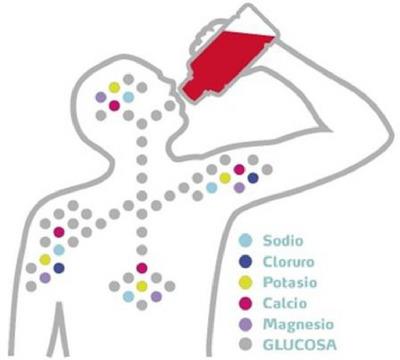 SODIO CLORURO POTASIO CALCIO MAGNESIO GLUCOSA